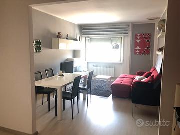 Appartamento + Terrazza + Torrino