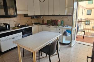 Stanza singola modena