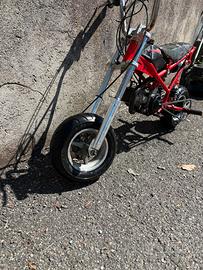 Minimoto