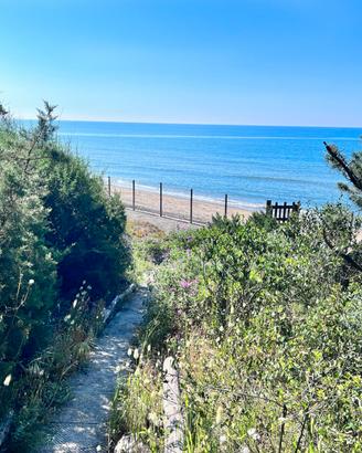 Esclusivo appartamento in villa sulla spiaggia