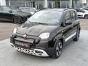 fiat-panda-pandina-cross-1-0-hybrid