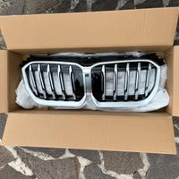 Mascherina BMW X1