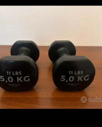 manubri palestra 10 kg