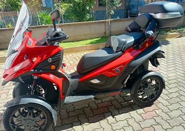 Qooder, Quadro 4 - 2018