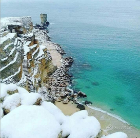 Aiutocuoco /lavapiatti con esperienza