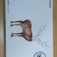 Tavoletta grafica Huion Inspiroy H640P-penna rotta