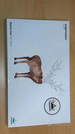 Tavoletta grafica Huion Inspiroy H640P-penna rotta