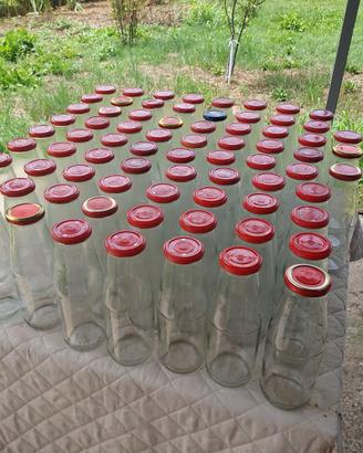 Bottiglie per sugo