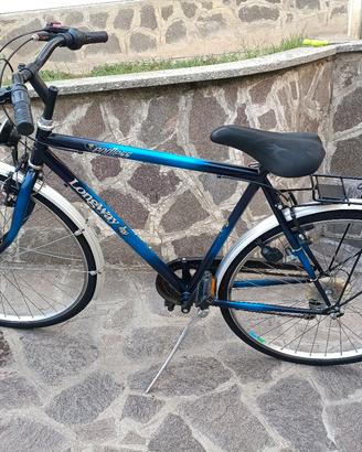 bici da uomo/LongWay