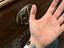 Immagine 10