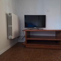 mobile TV