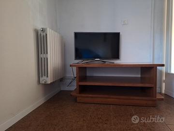 mobile TV