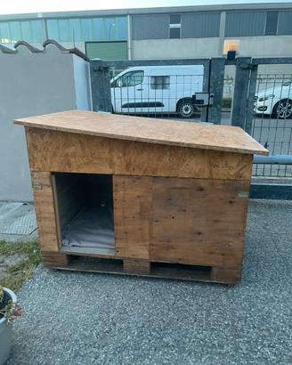 Cuccia per cane
