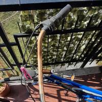 Bicicletta Alpin da uomo