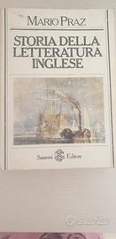 Storia della letteratura inglese