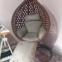 Dondolo da interno/esterno