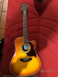 Chitarra Acustica Epiphone Ft-350 con Custodia