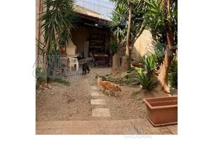 Villa o villino Reggio di Calabria [A4346130]