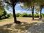 Immagine 7