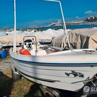 Barca Quicksilver 440