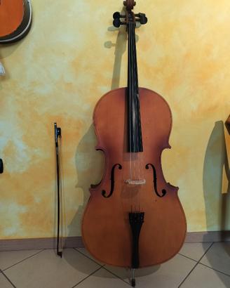 Violoncello