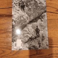 libro insieme in vetta