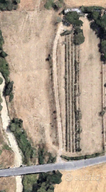 Terreno Agricolo Recintato