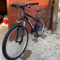 Mtb rockeider st50