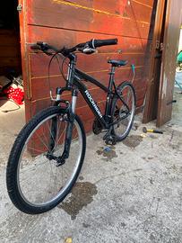 Mtb rockeider st50