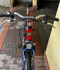Bicicletta bianchi