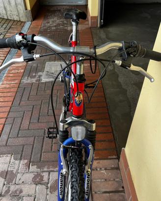 Bicicletta bianchi