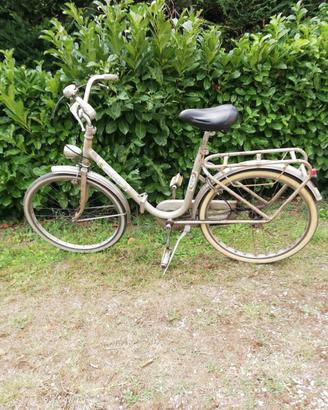 bicicletta donna 