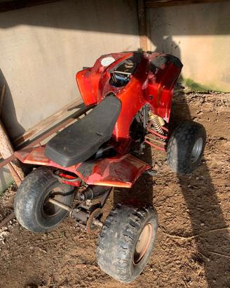 quad prototipo da ragazzo 