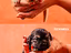 Immagine 5