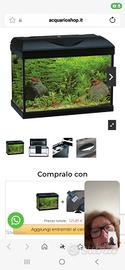  acquario 25 litri 