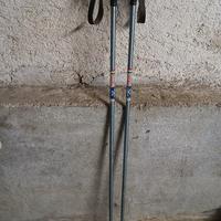 2 racchette North walking