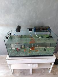 Acquario 80 litri