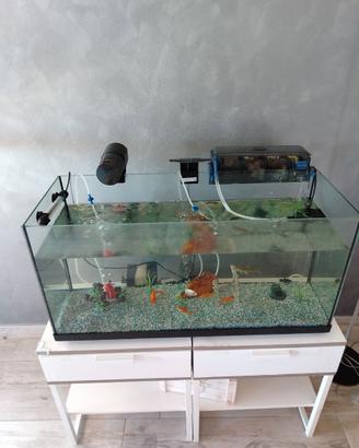 Acquario 80 litri