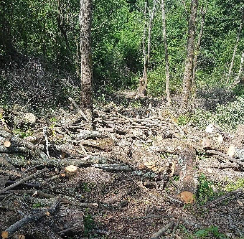 Annunci Giardino e fai da te Pisa e provincia - Vendita arredamento da  giardino Toscana 