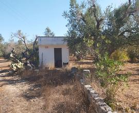 Terreno agricolo seminativo