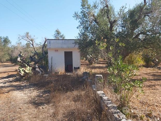 Terreno agricolo seminativo