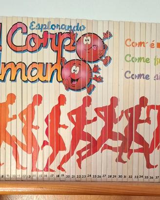 Esplorando il corpo umano