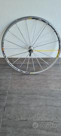 Ruota anteriore bicicletta da corsa