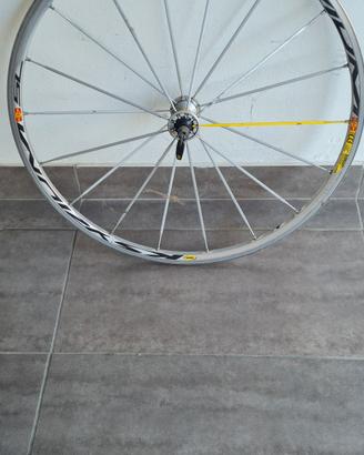 Ruota anteriore bicicletta da corsa
