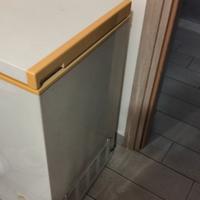 congelatore a pozzetto 