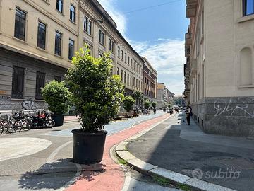 Appartamento Milano [Cod. rif 3235305ARG] (Loreto)