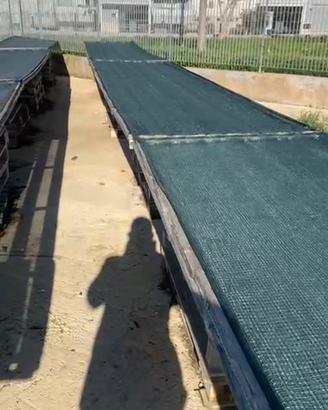 Telai per essiccazione