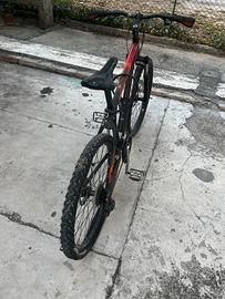 Mountainbike Trek