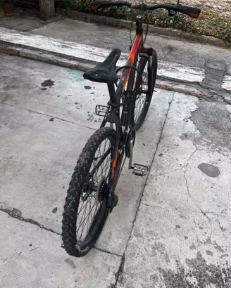 Mountainbike Trek