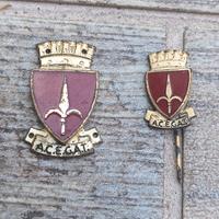 mostrina e spilla